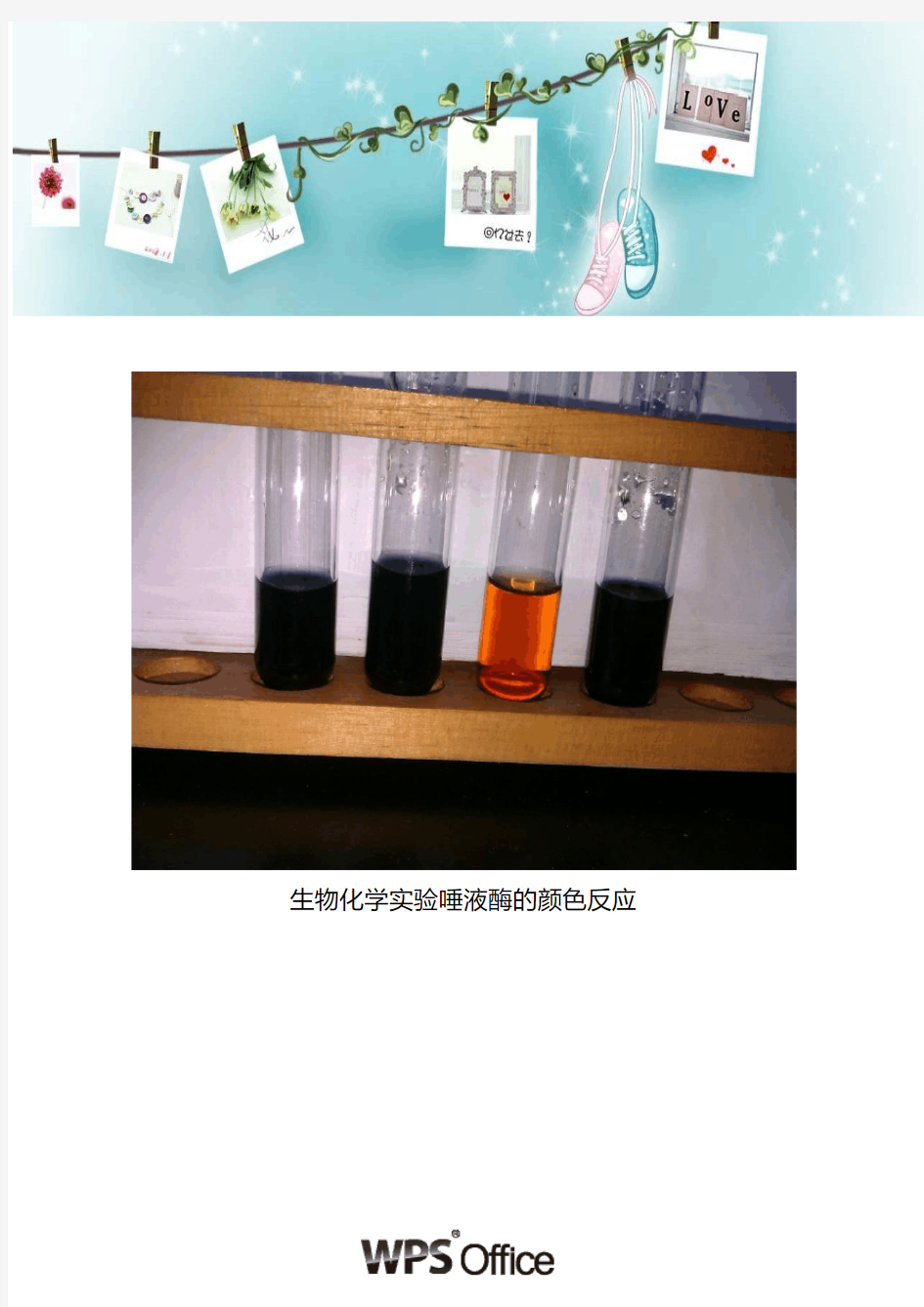 生化试验,唾液淀粉酶的颜色反应