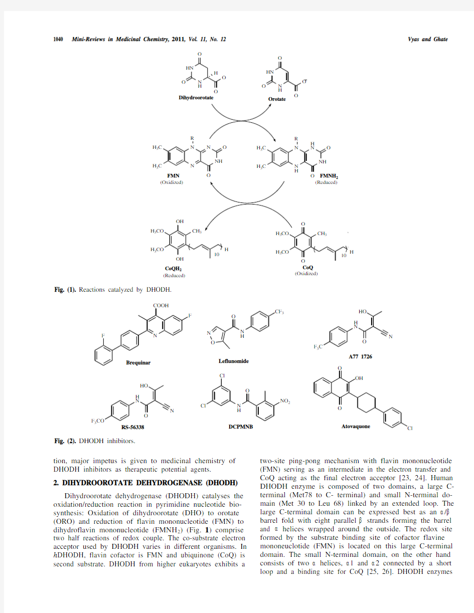 Recent Developments in the Medicinal Chemistry and Therapeutic Potential of Dihydroorotate Dehydroge