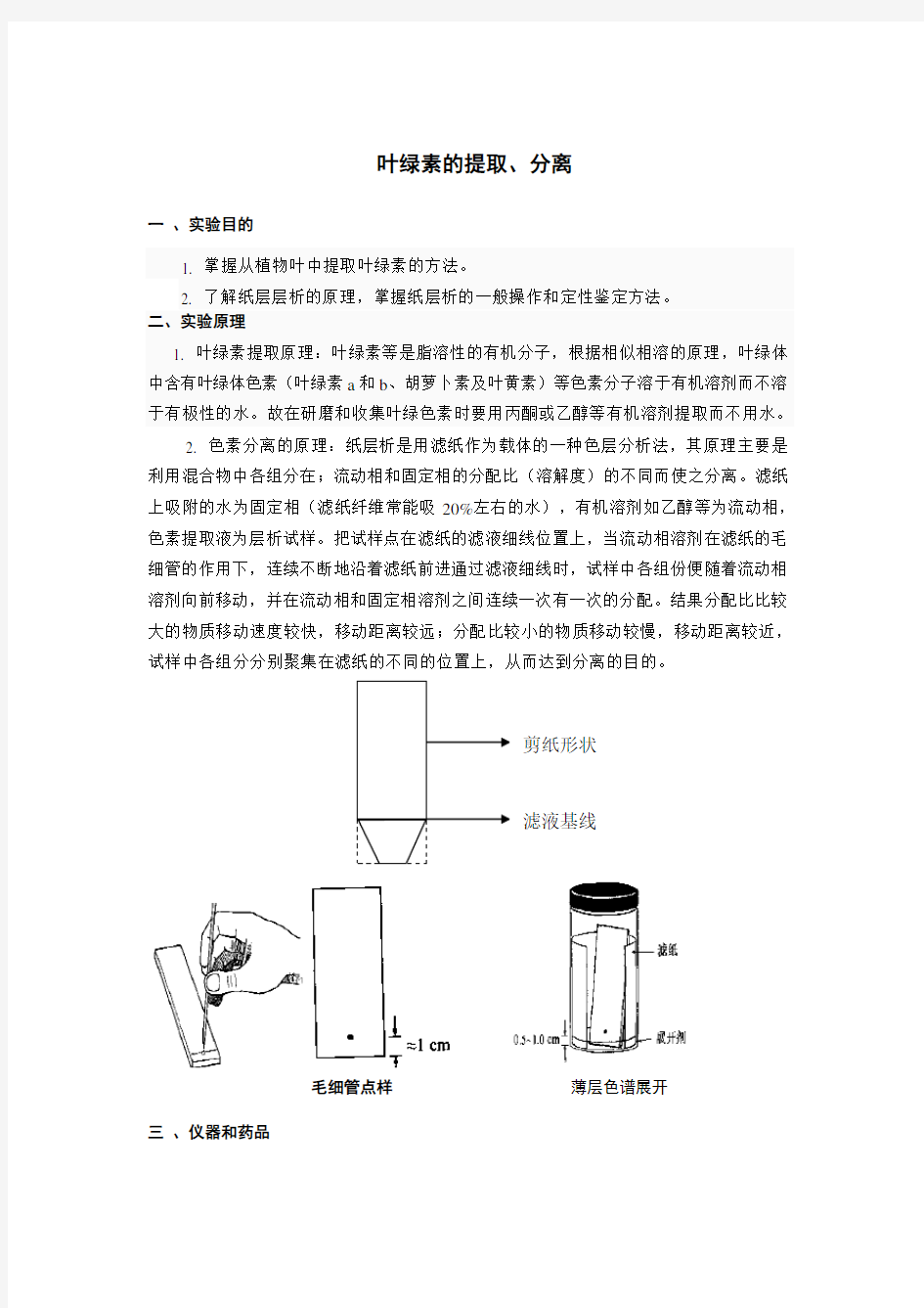 实验六 叶绿素的提取、分离