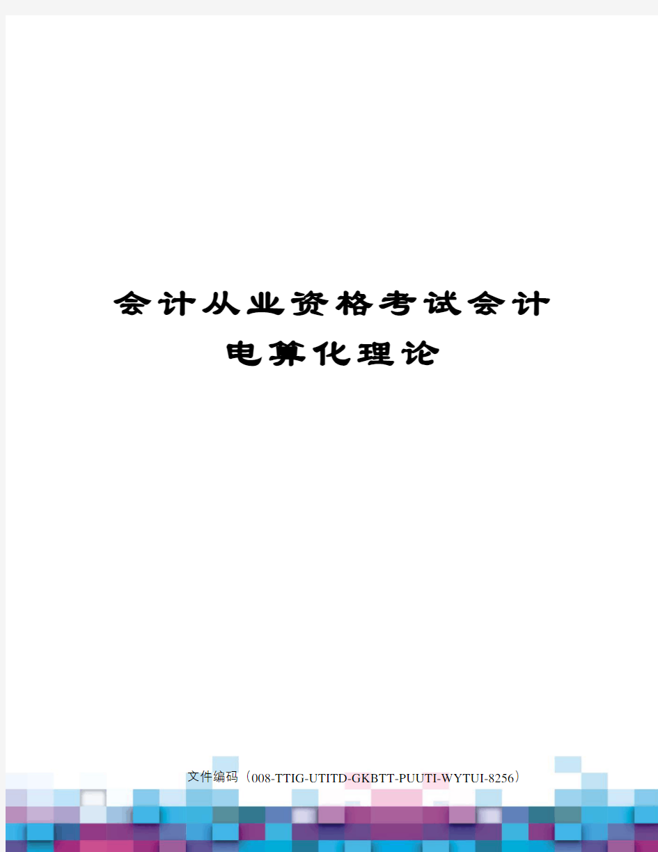 会计从业资格考试会计电算化理论