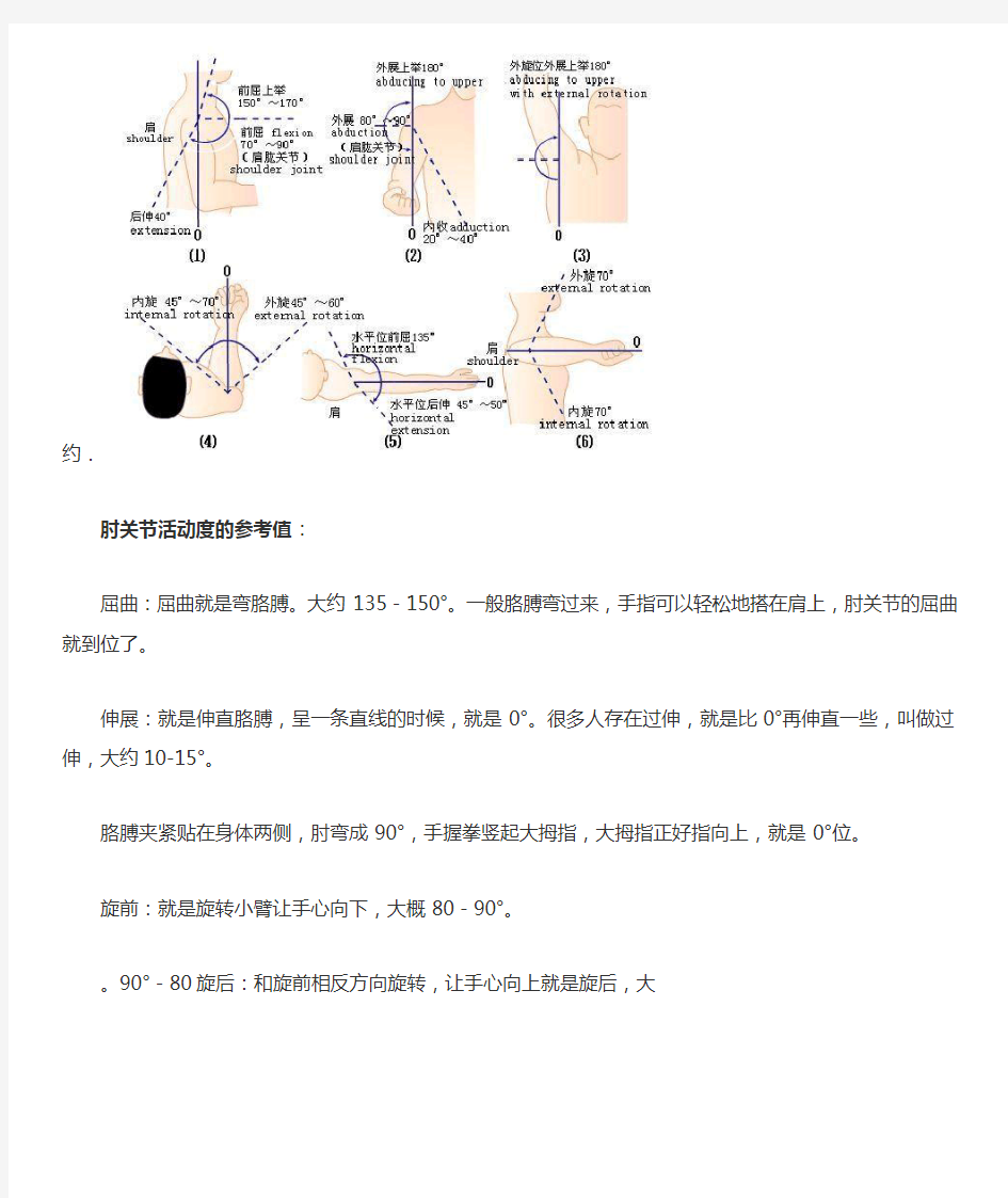 四肢关节活动度参考值汇总