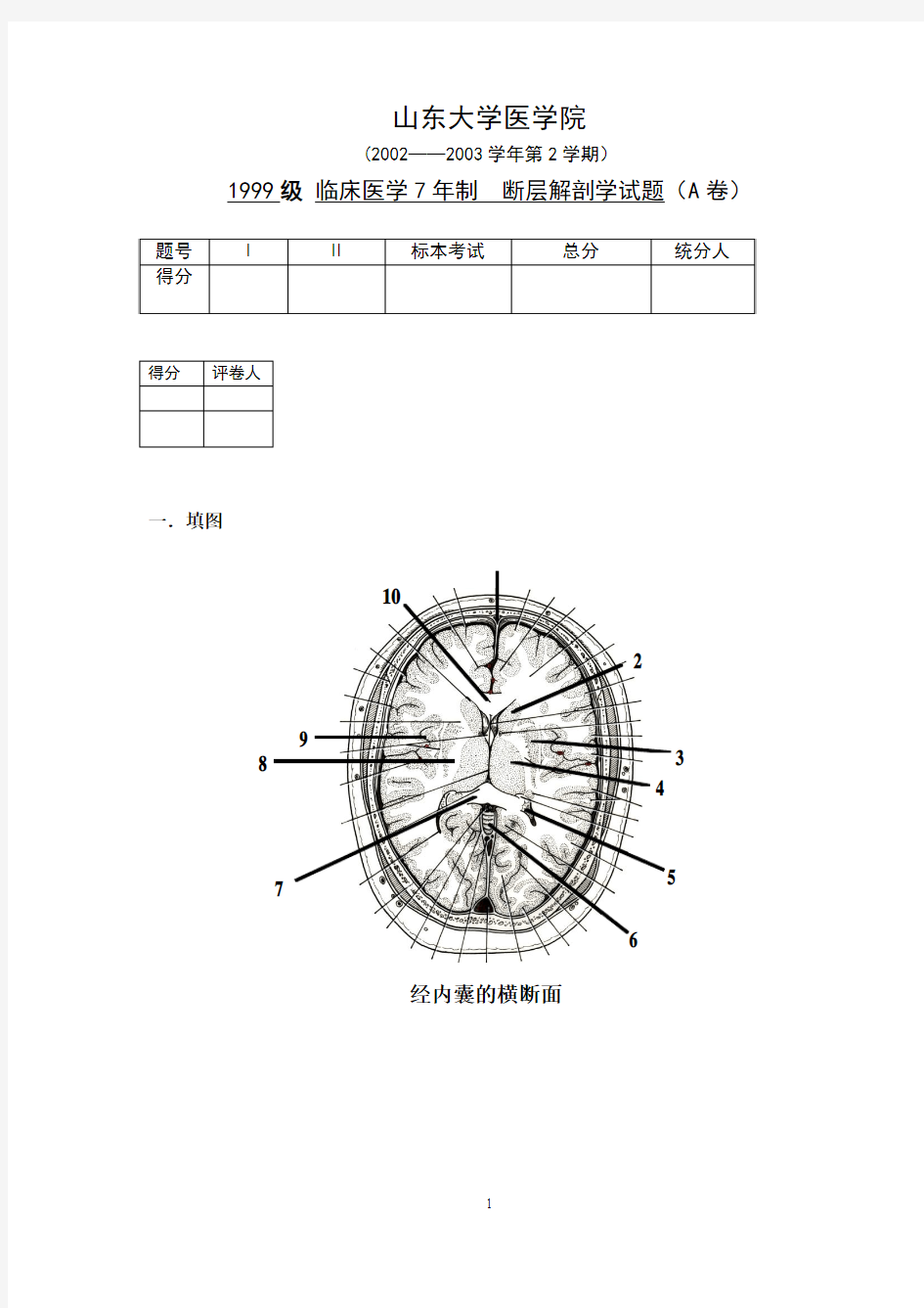 山东大学医学院2002——2003学年第2学期1999级临床医学7年制