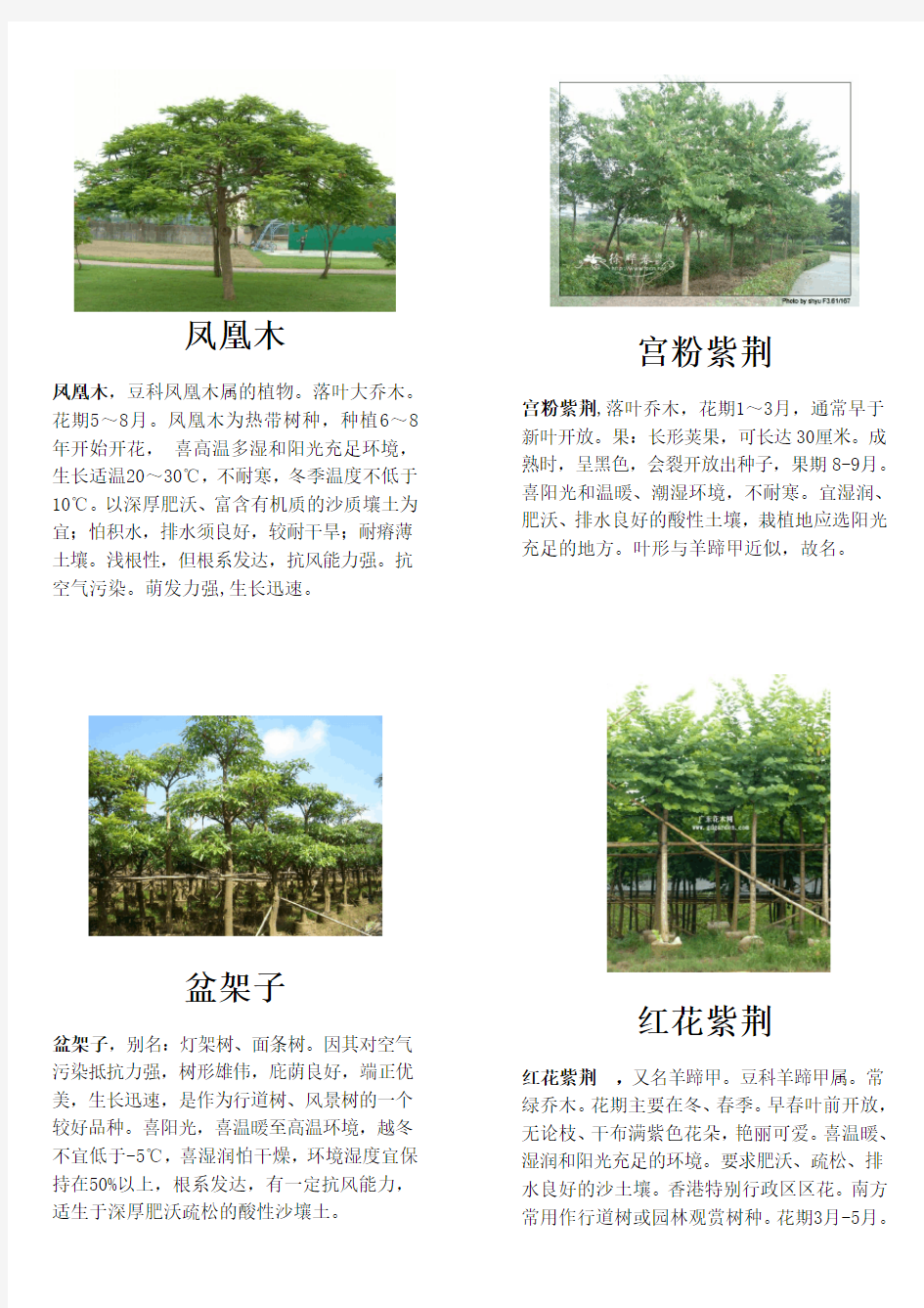 南方几种常见绿化植物介绍
