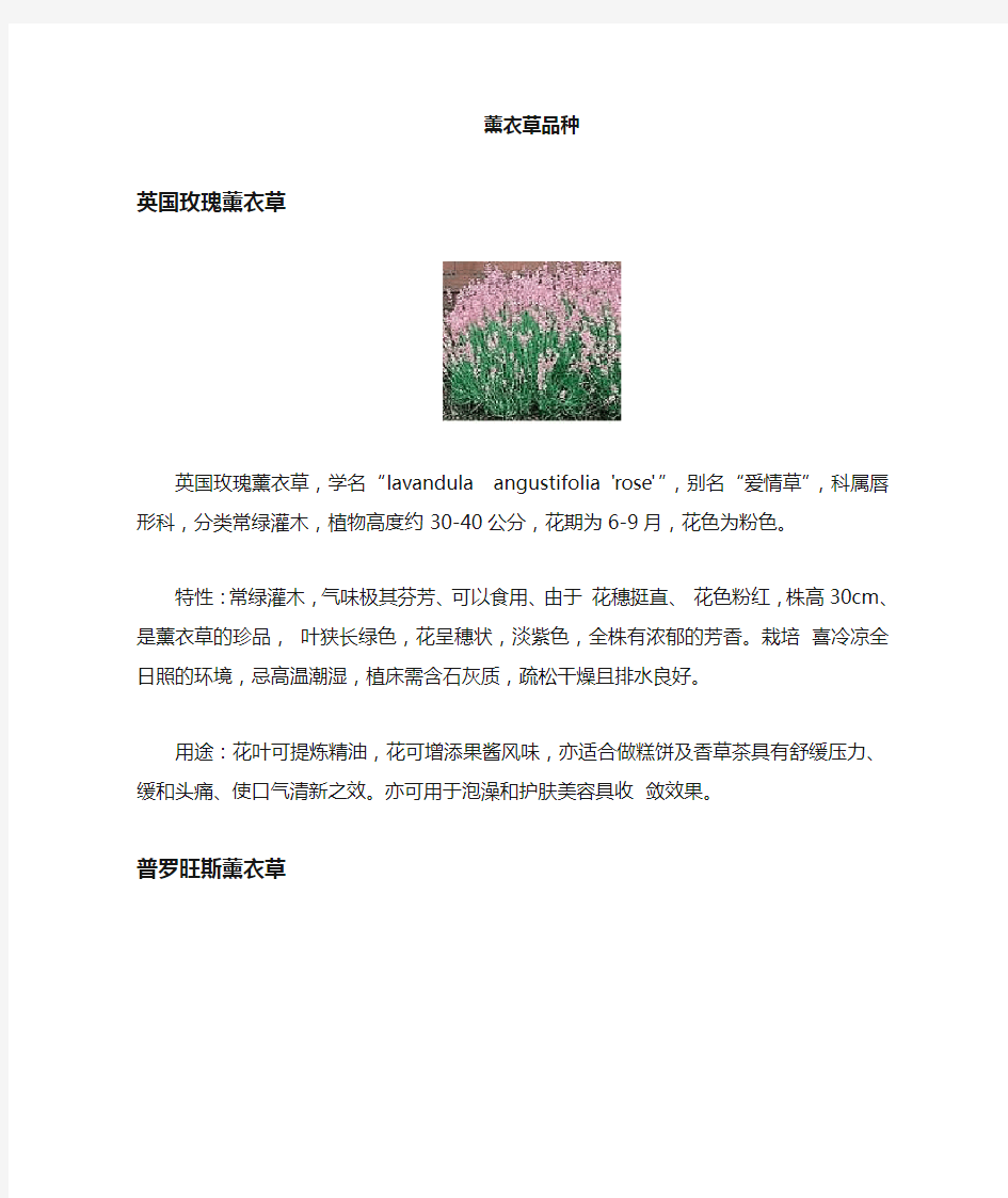 薰衣草花种介绍