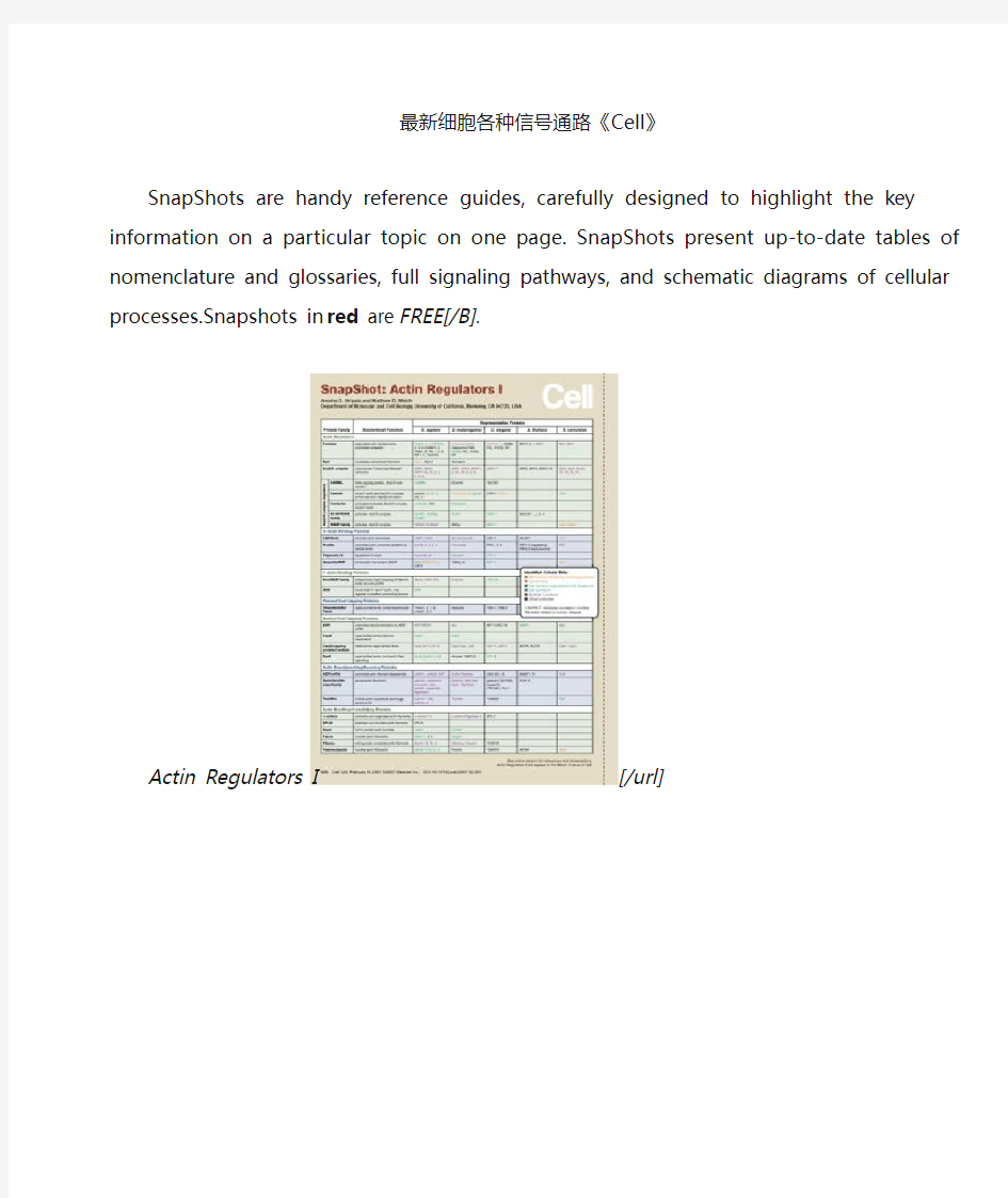 最新细胞各种信号通路