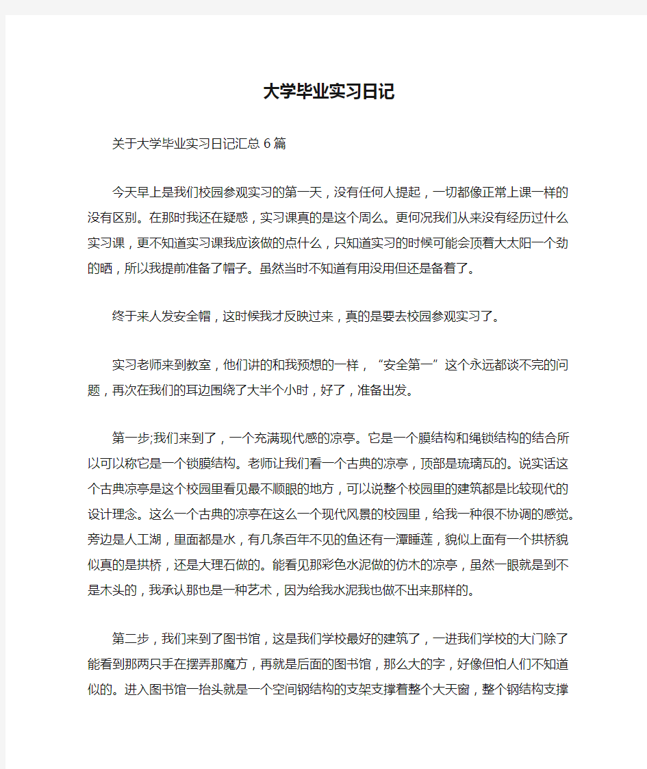 大学毕业实习日记