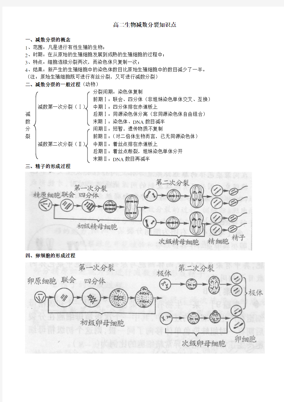 (完整版)减数分裂知识点总结