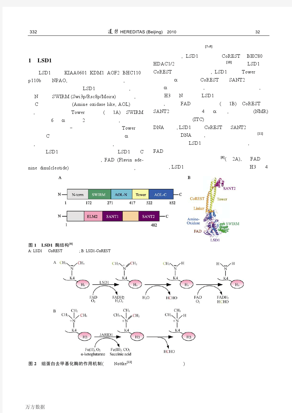 组蛋白去甲基化酶LSD1及其生物学功能