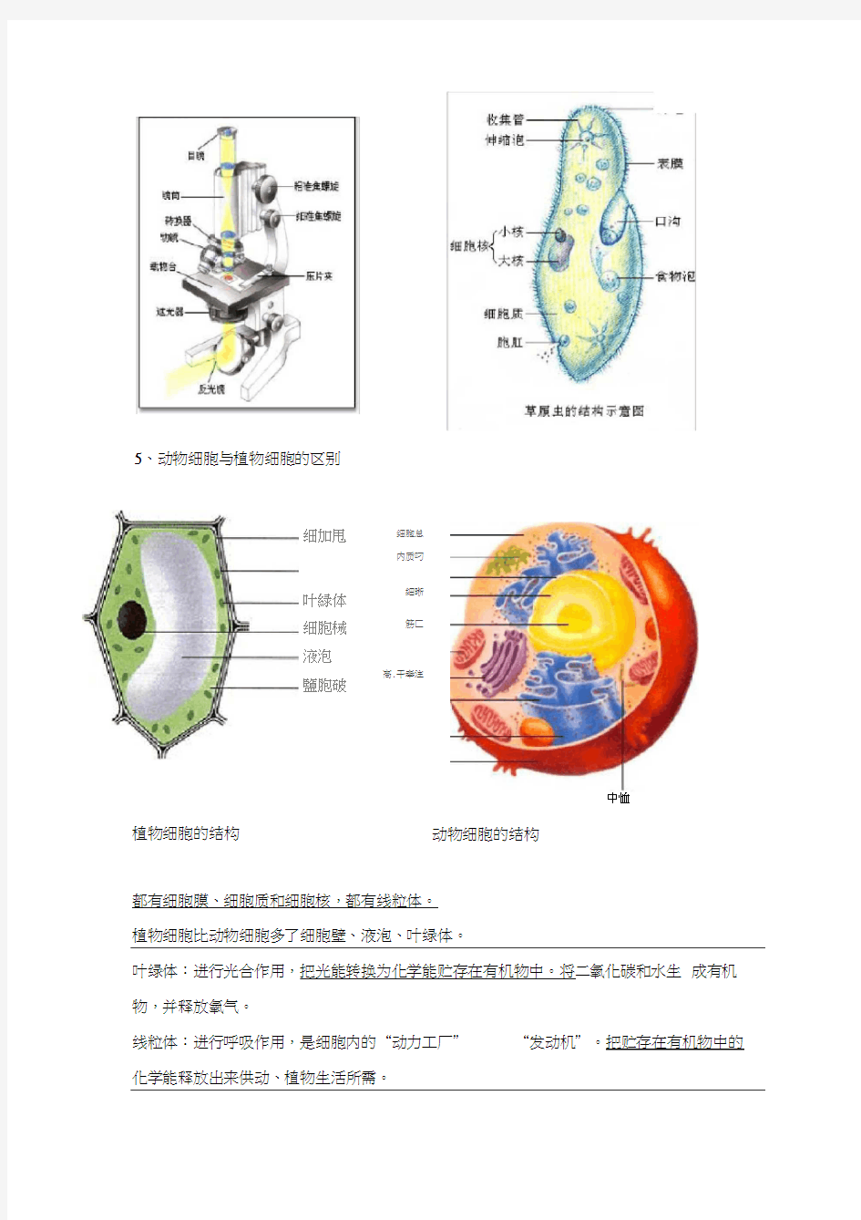 七年级上册生物学知识点总结