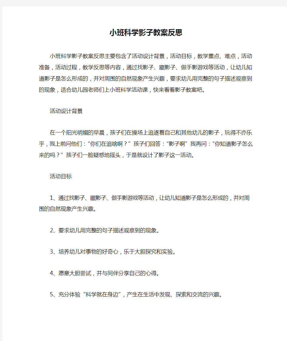 小班科学影子教案反思