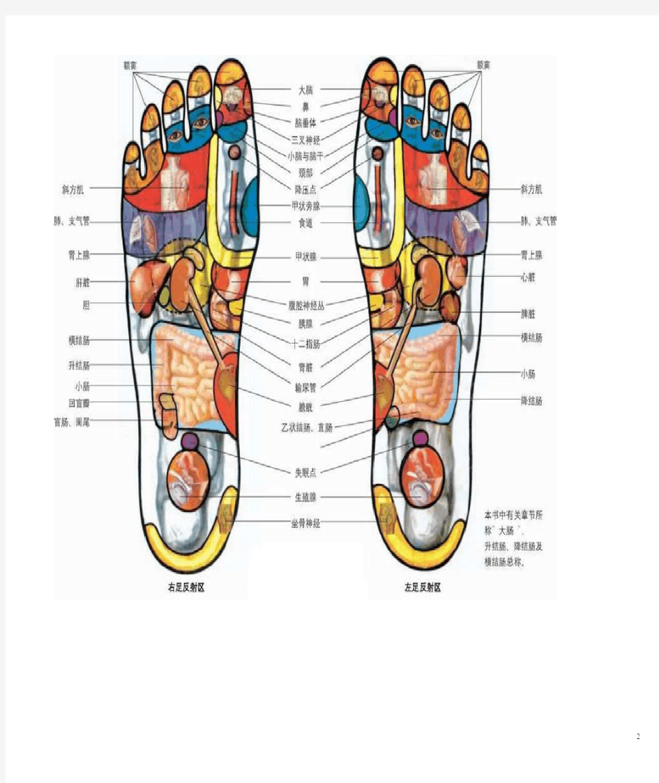 足部按摩穴位图及简要方法
