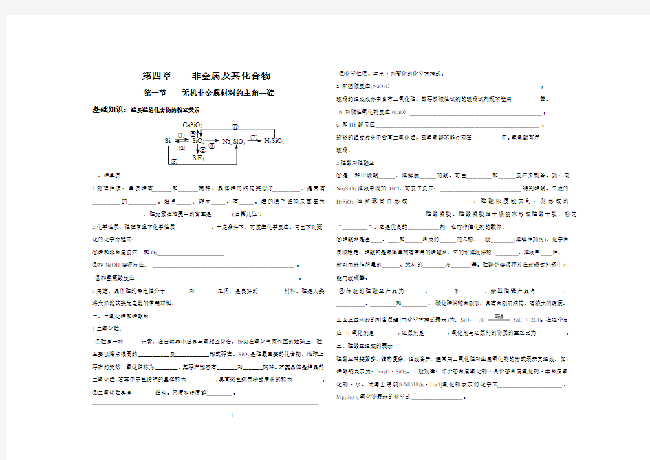 必修1第四章复习——知识点填空及练习