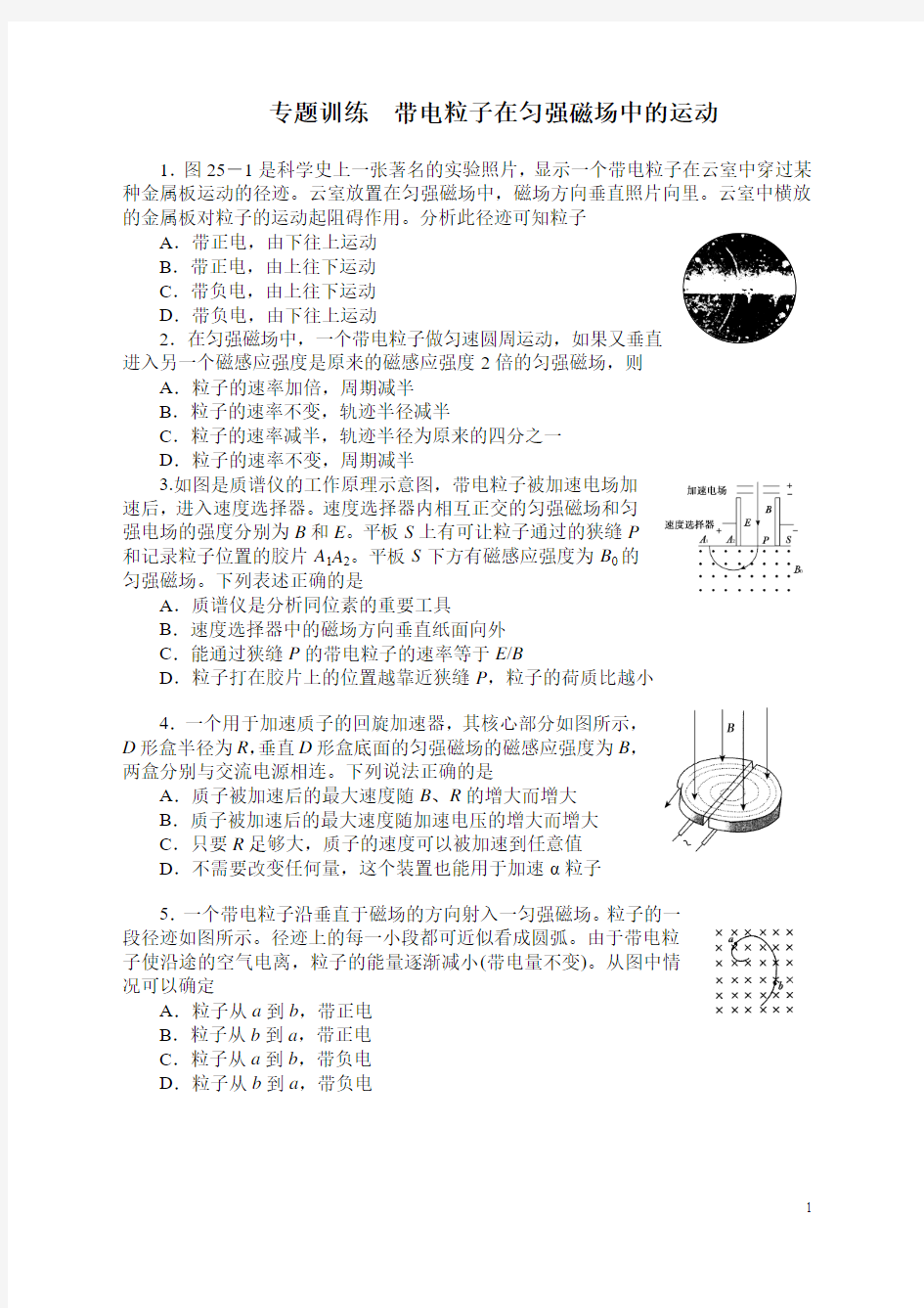 专题训练带电粒子在匀强磁场中的运动(含答案)