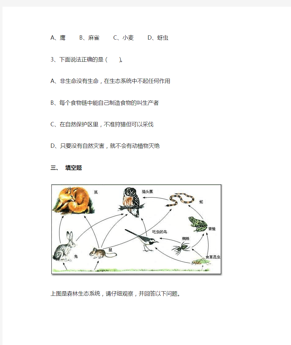 五年级上册科学一课一练-1.5 食物链和食物网 _教科版(含答案)