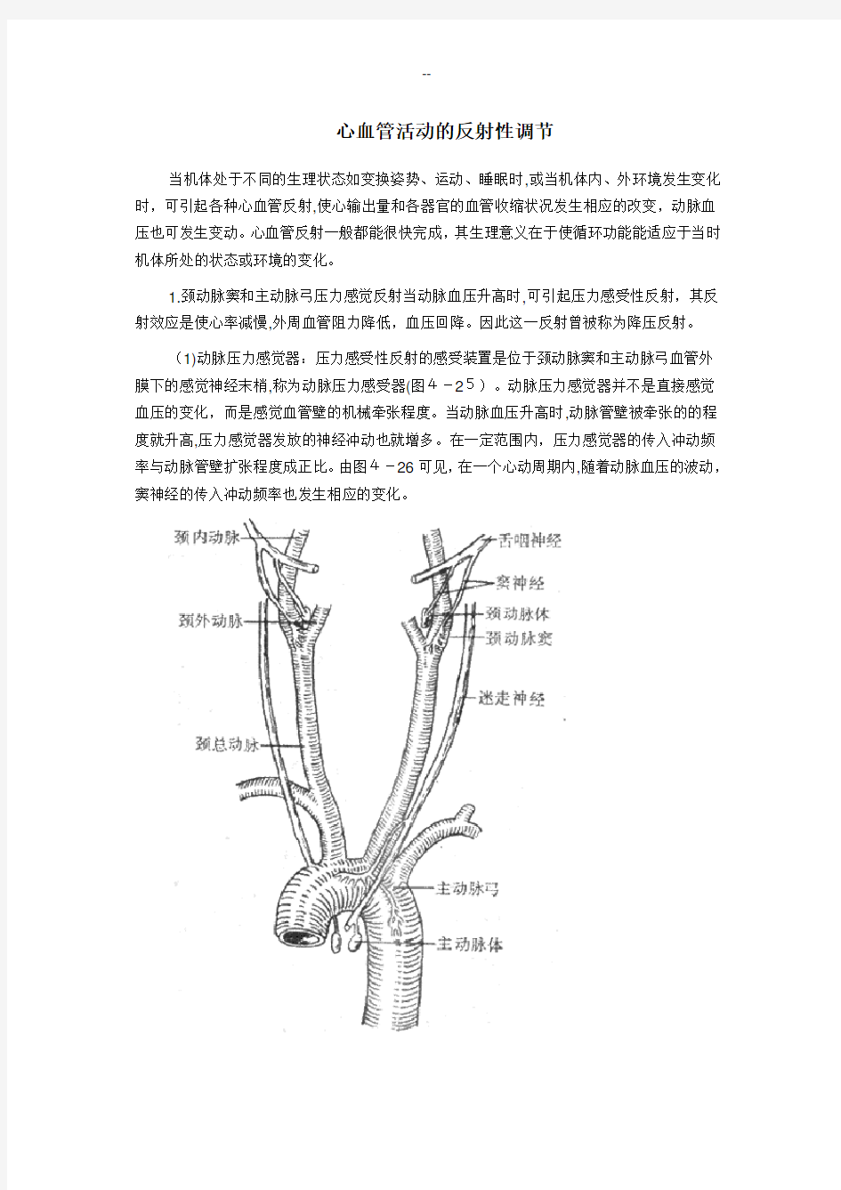 心血管活动的反射性调节