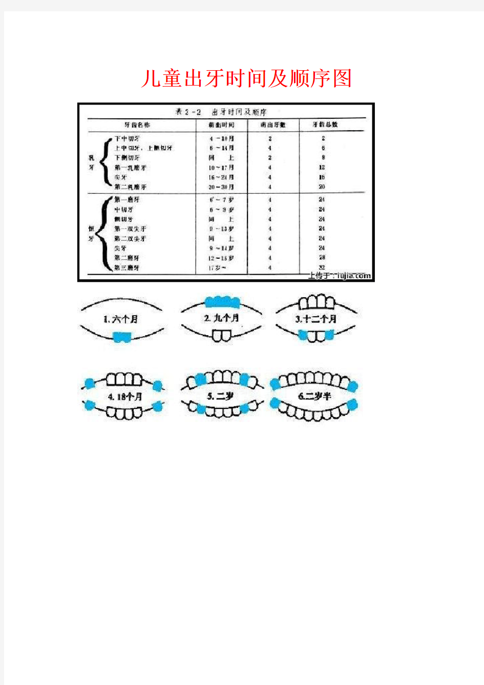 儿童出牙及换牙顺序图 2