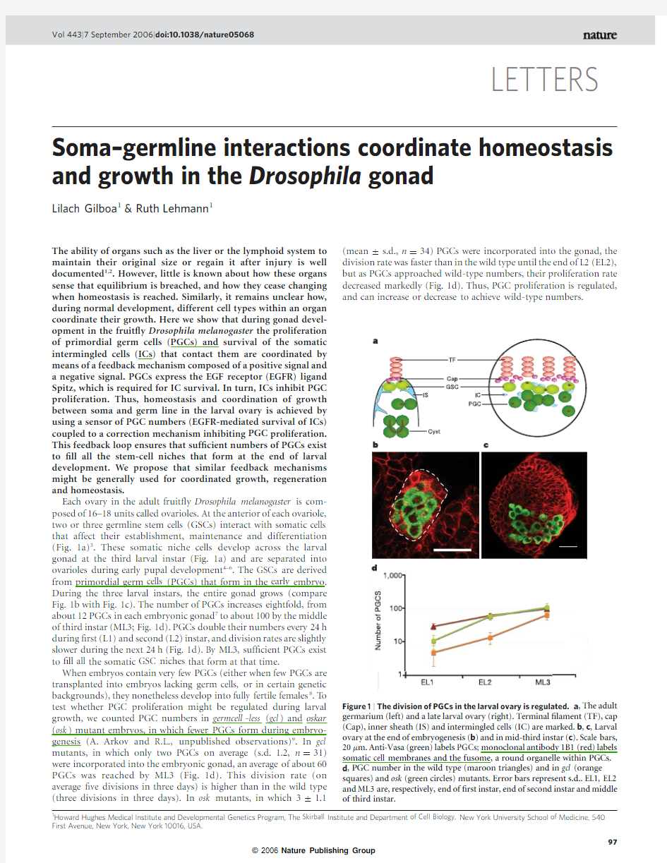 2006 Nature Soma-germlineinteractions coordinate homeostasis and growth in the Drosophila gonad