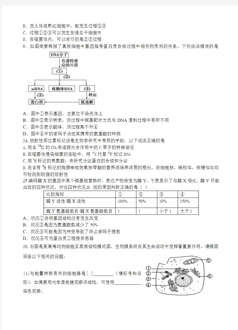 广东省惠州市2019届高三第二次调研考试 理综