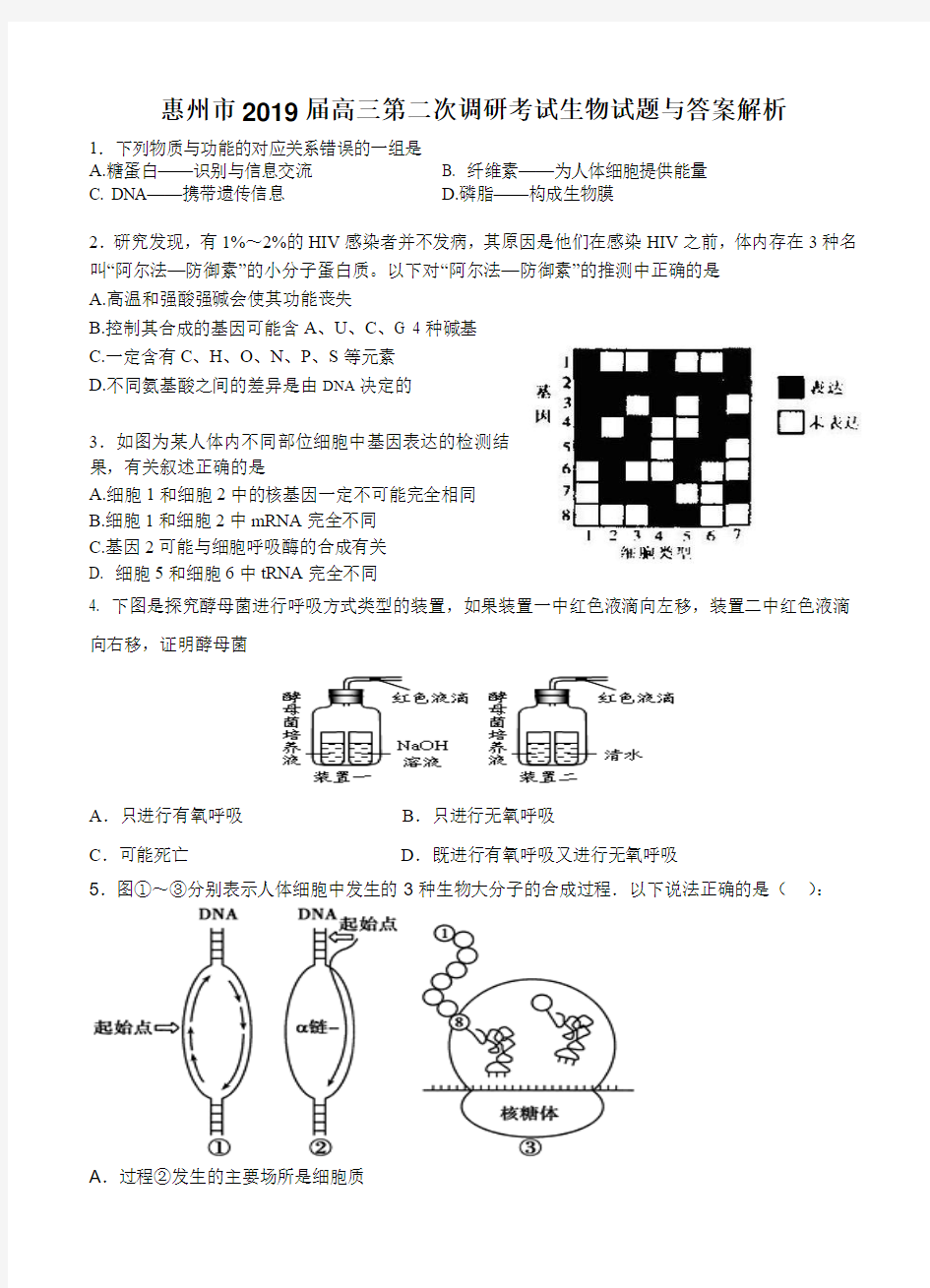 广东省惠州市2019届高三第二次调研考试 理综