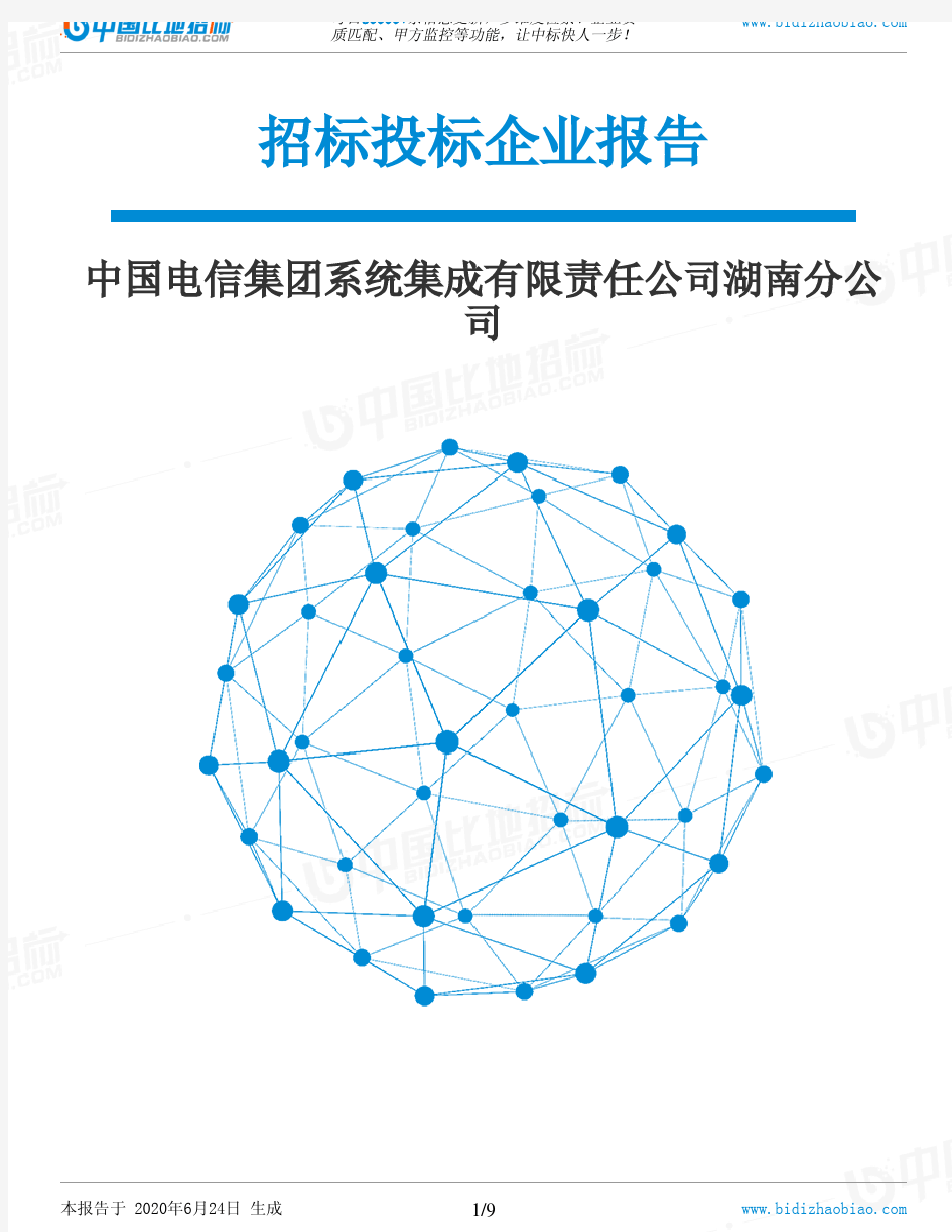 中国电信集团系统集成有限责任公司湖南分公司-招投标数据分析报告