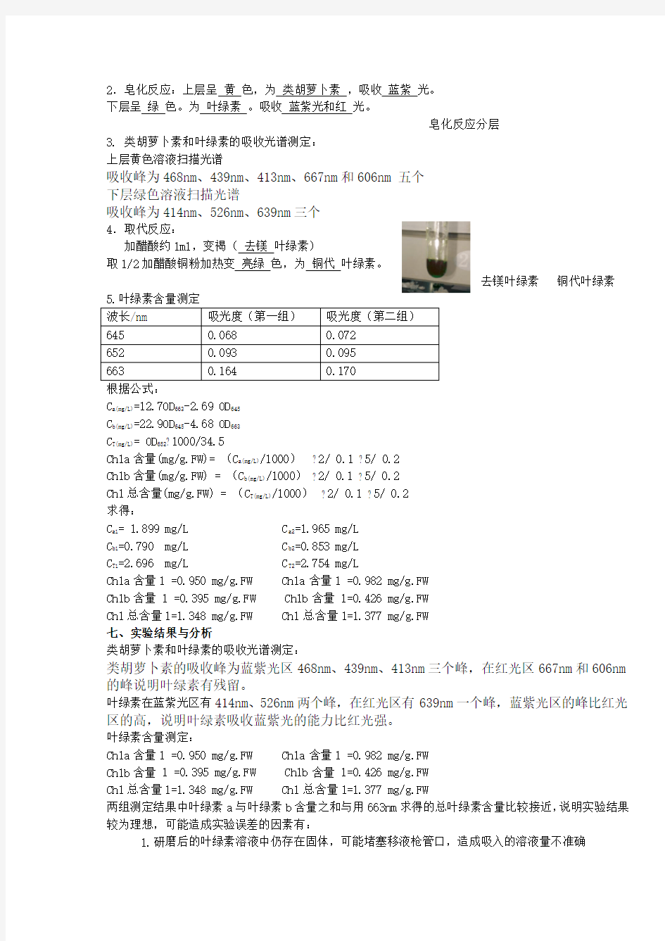 叶绿素的提取与含量测定