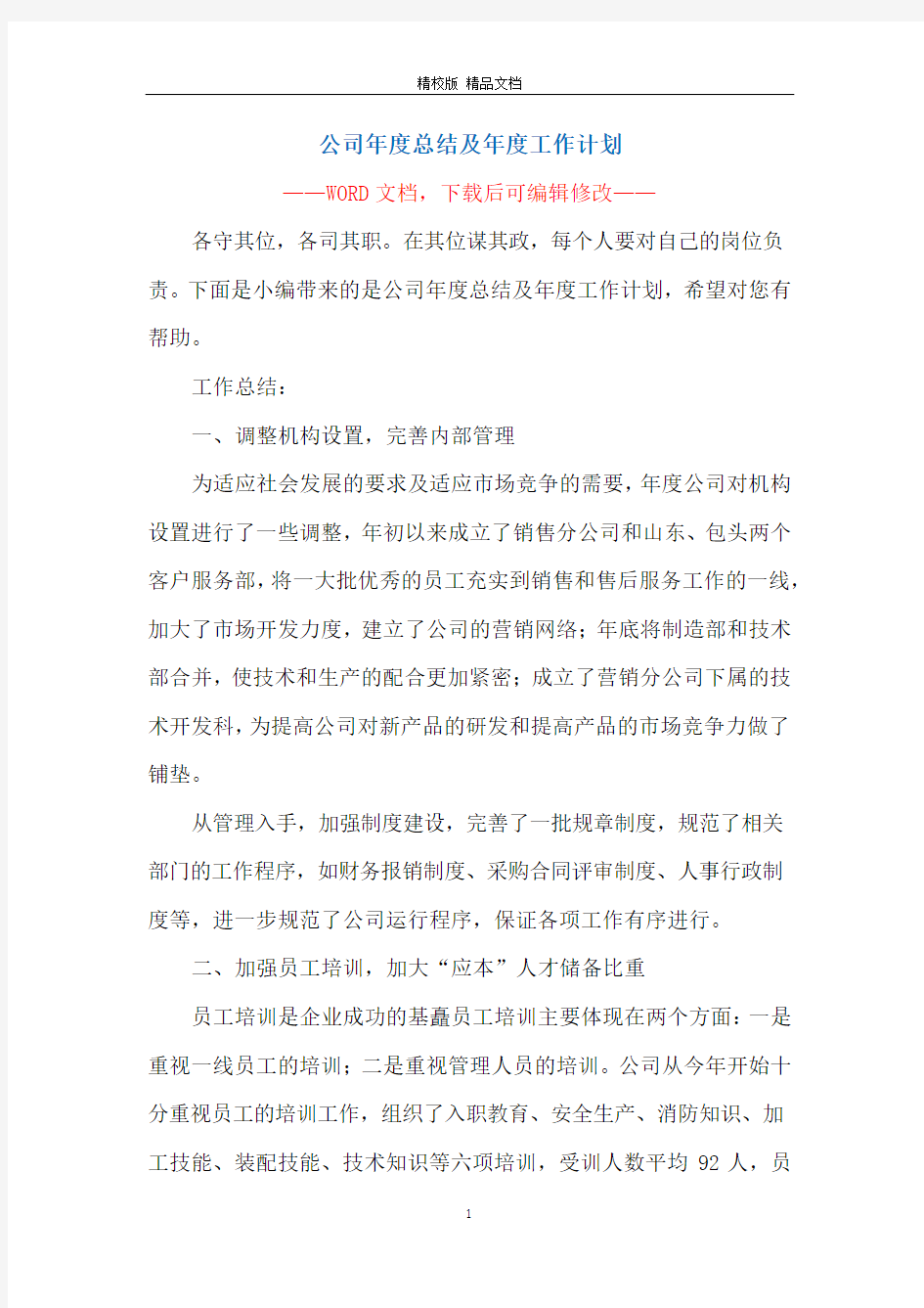 公司年度总结及年度工作计划