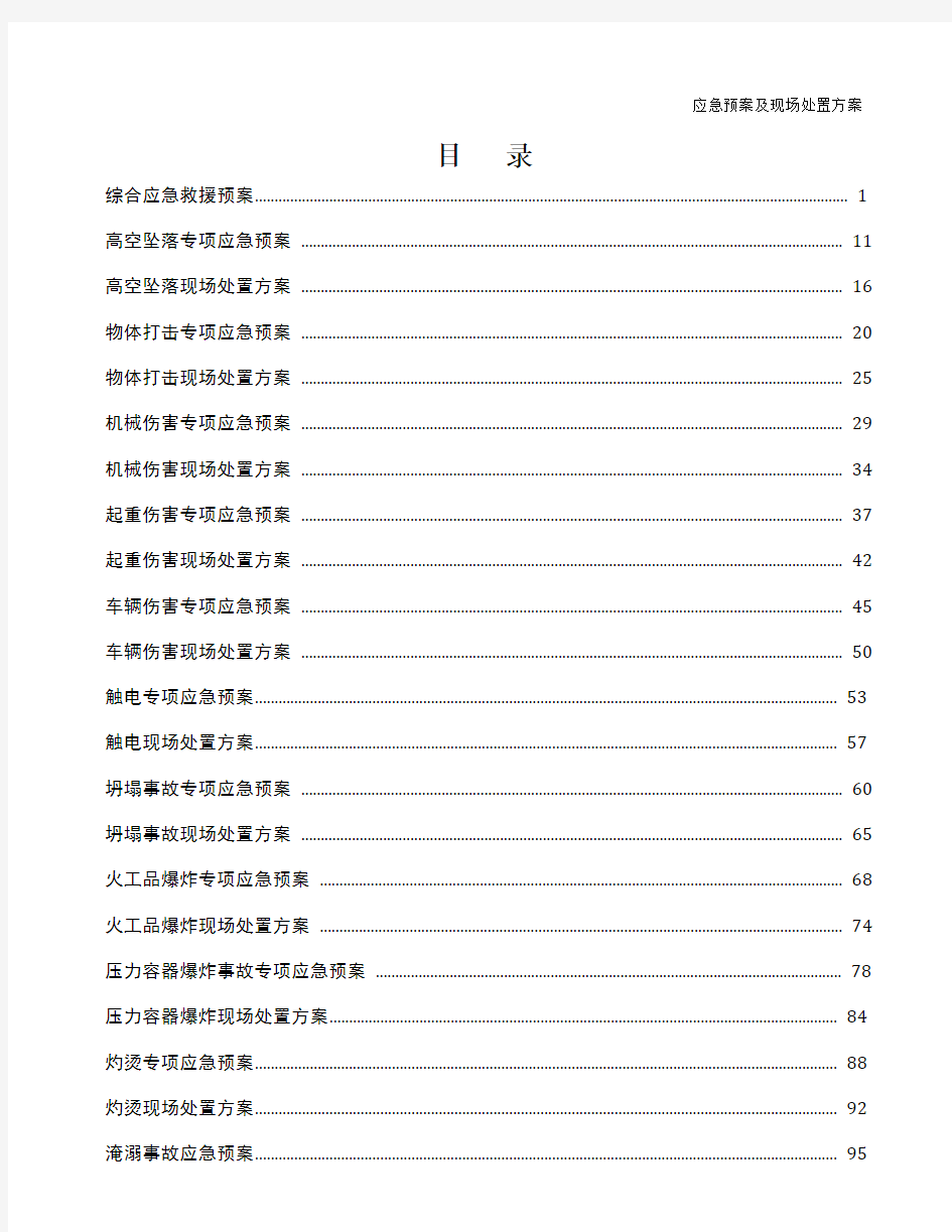 应急预案及现场处置方案