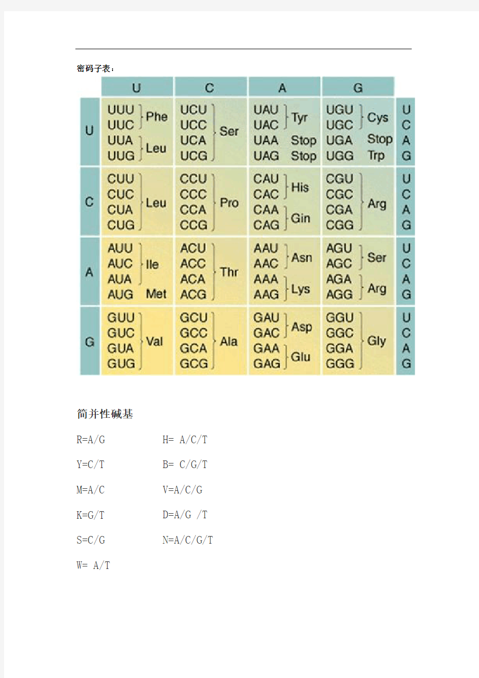 密码子表及间并碱基及氨基酸三字符