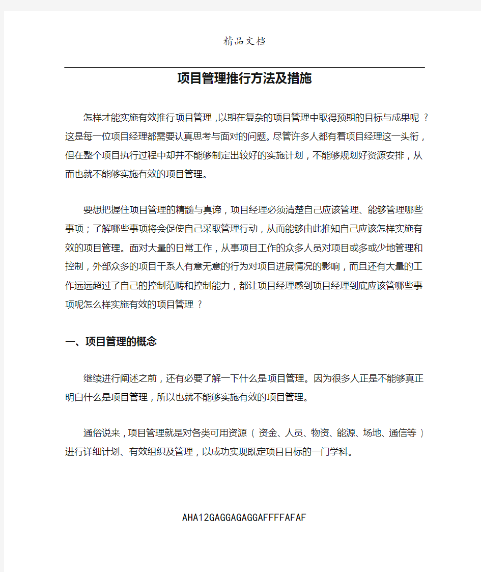 项目管理推行方法及措施