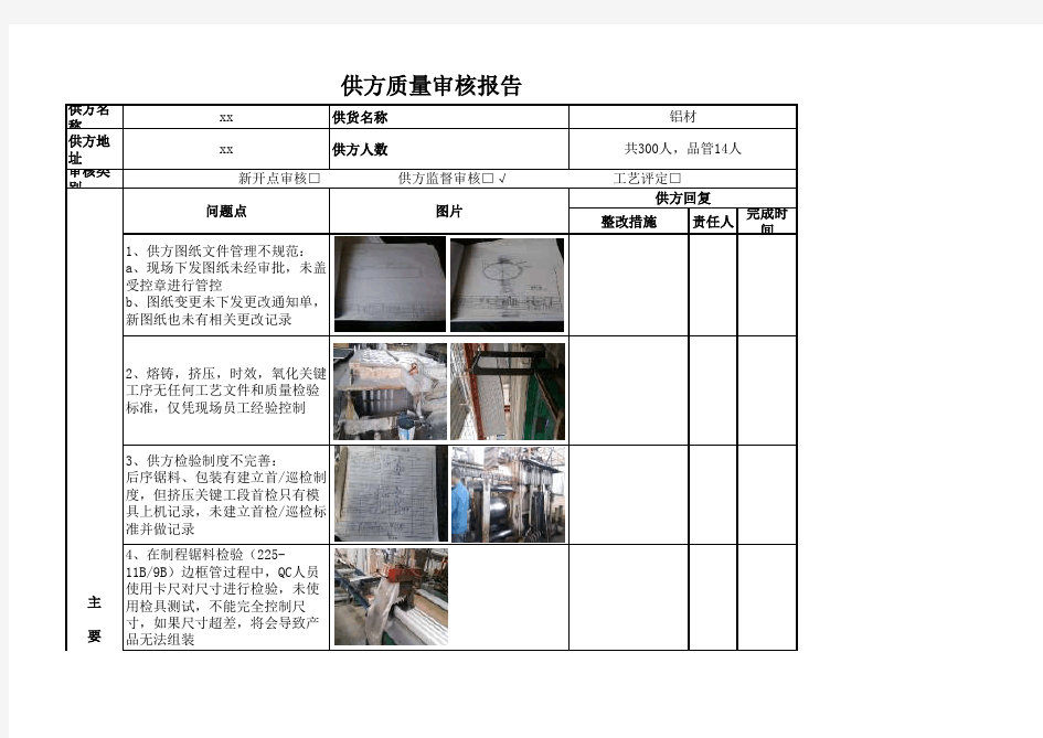 供应商审核报告