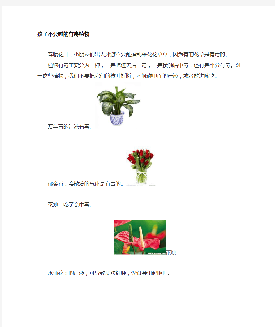 幼儿新闻稿,幼儿新闻播报《有毒植物》