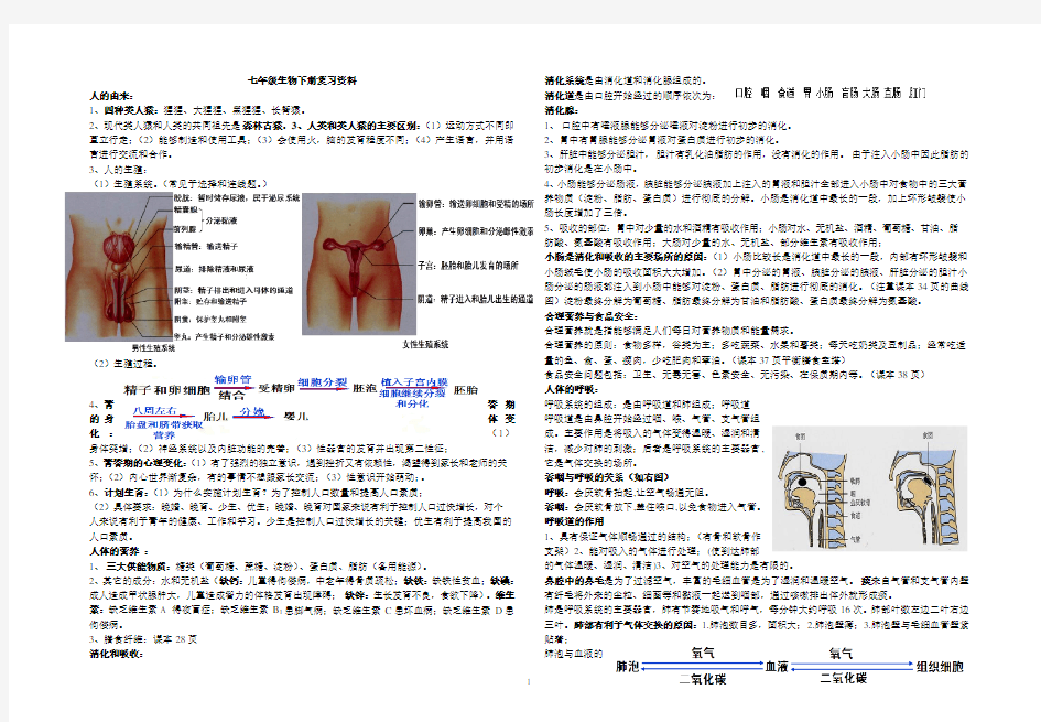 人教版七年级生物下册笔记
