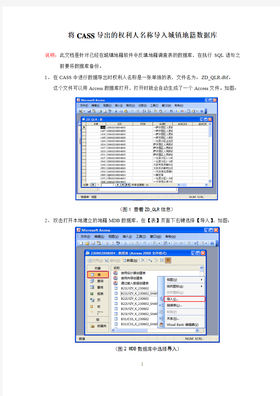 将CASS导出的权利人名称导入城镇地籍数据库