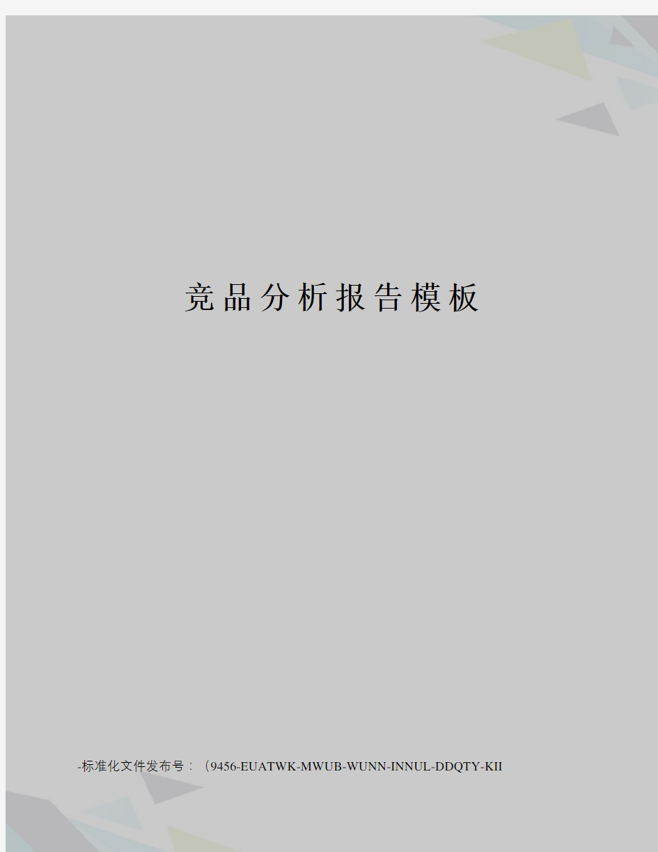 竞品分析报告模板