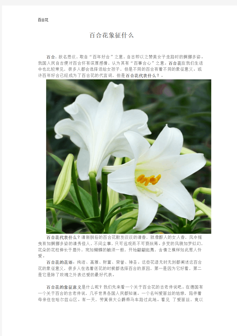 百合花象征的意义