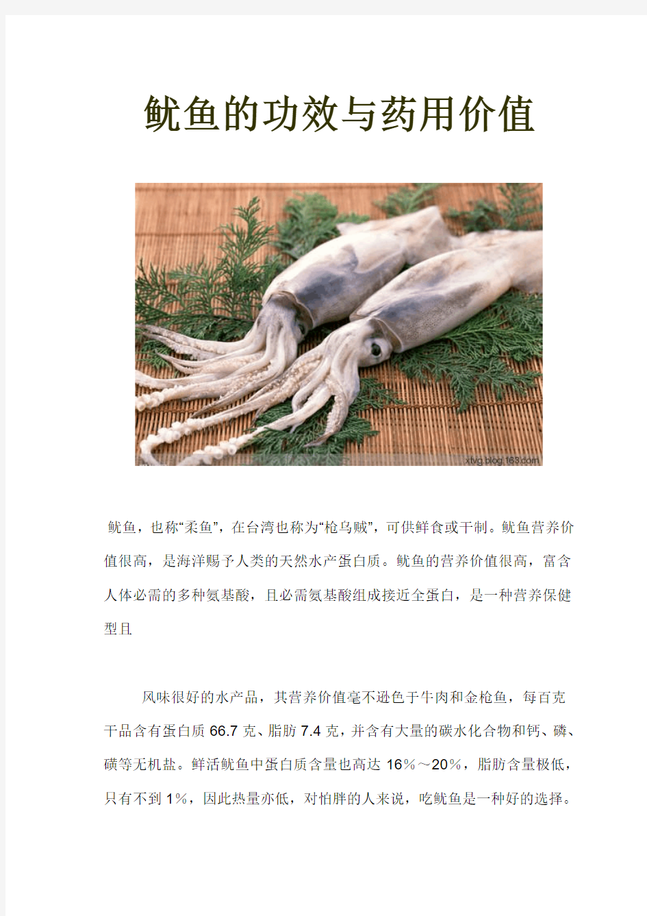 鱿鱼的功效与药用价值