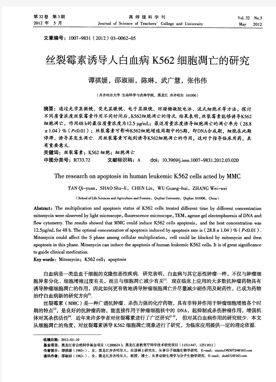 丝裂霉素诱导人白血病K562细胞凋亡的研究