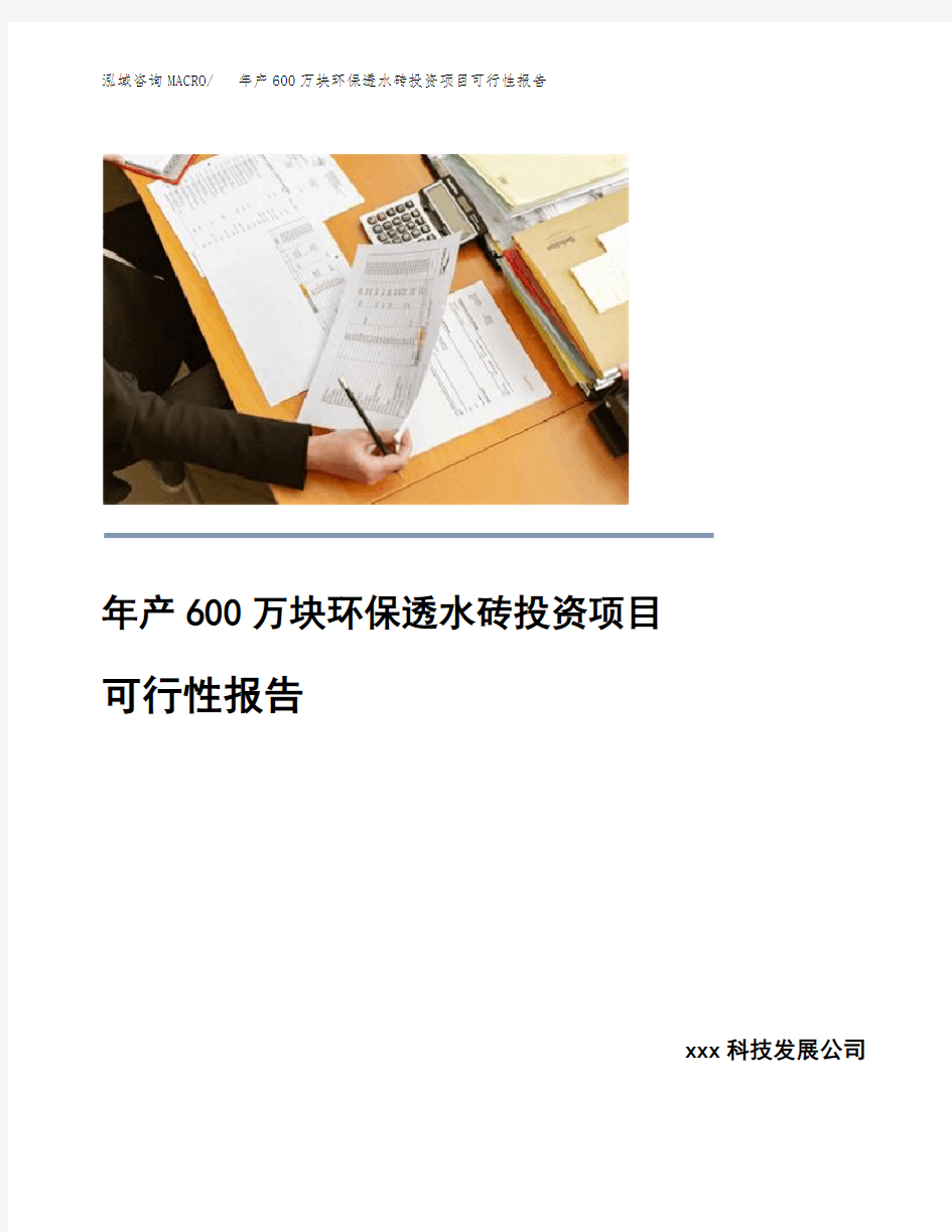 年产600万块环保透水砖投资项目可行性报告