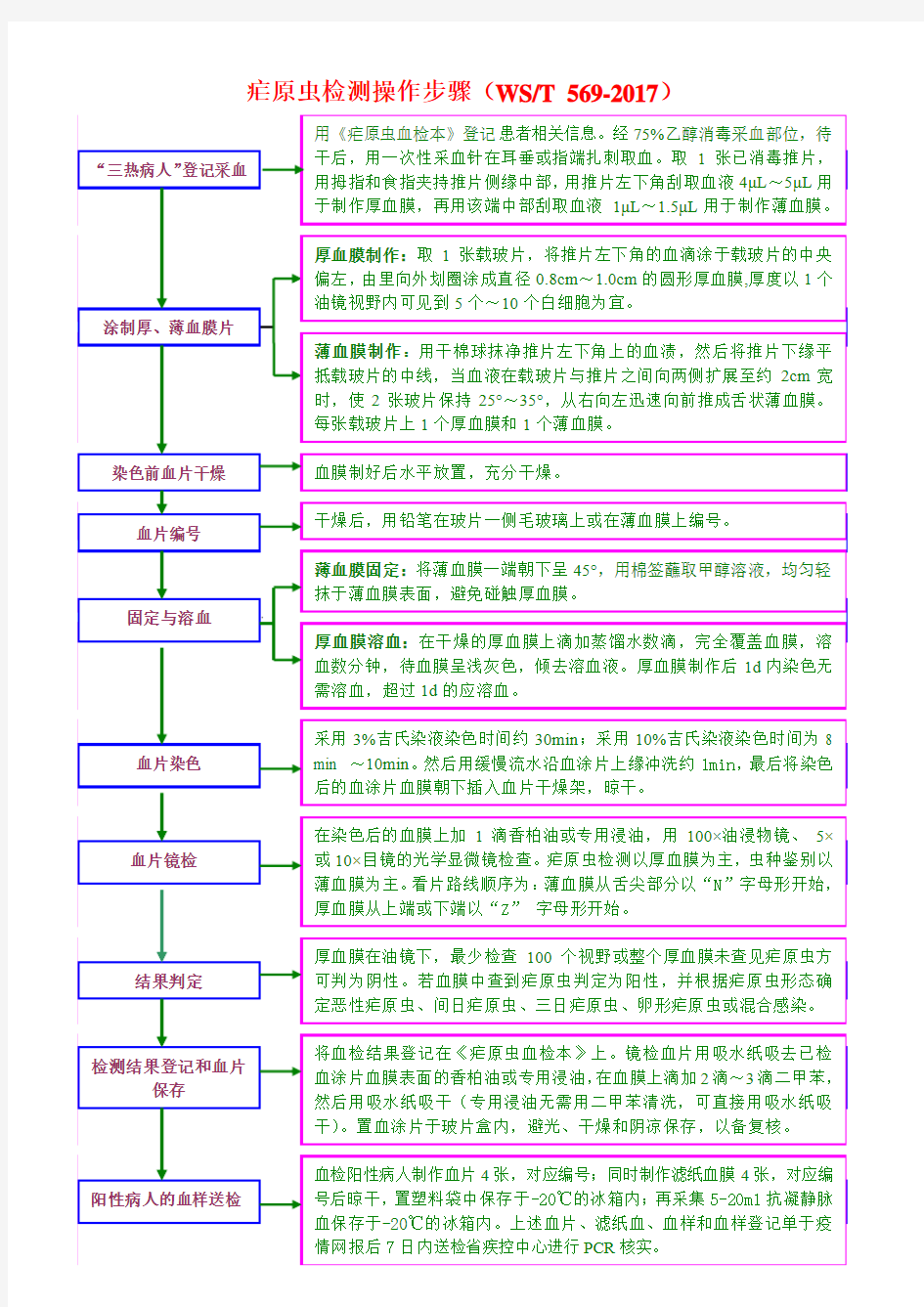 疟原虫镜检操作步骤