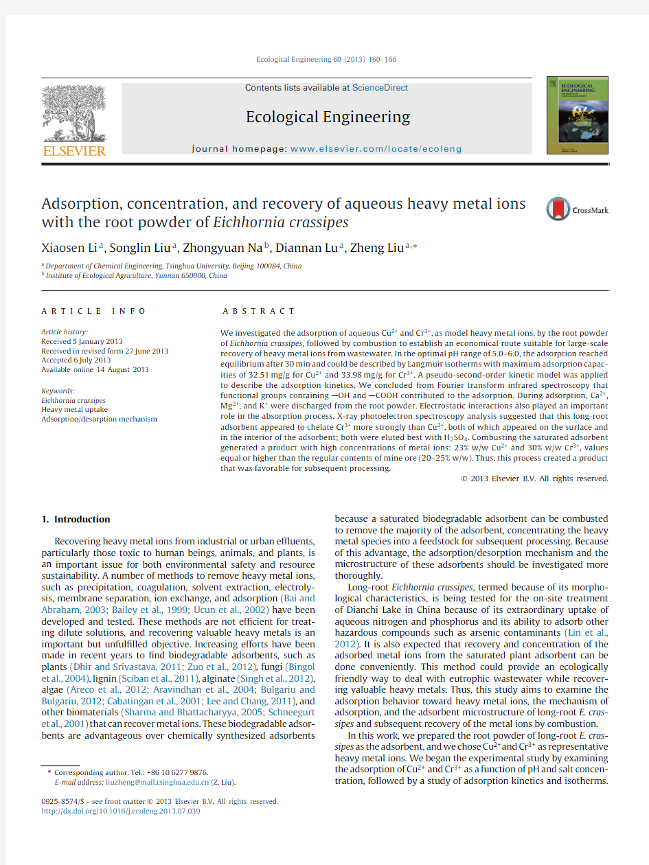 Adsorption, concentration, and recovery of aqueous heavy metal ions with the root powder