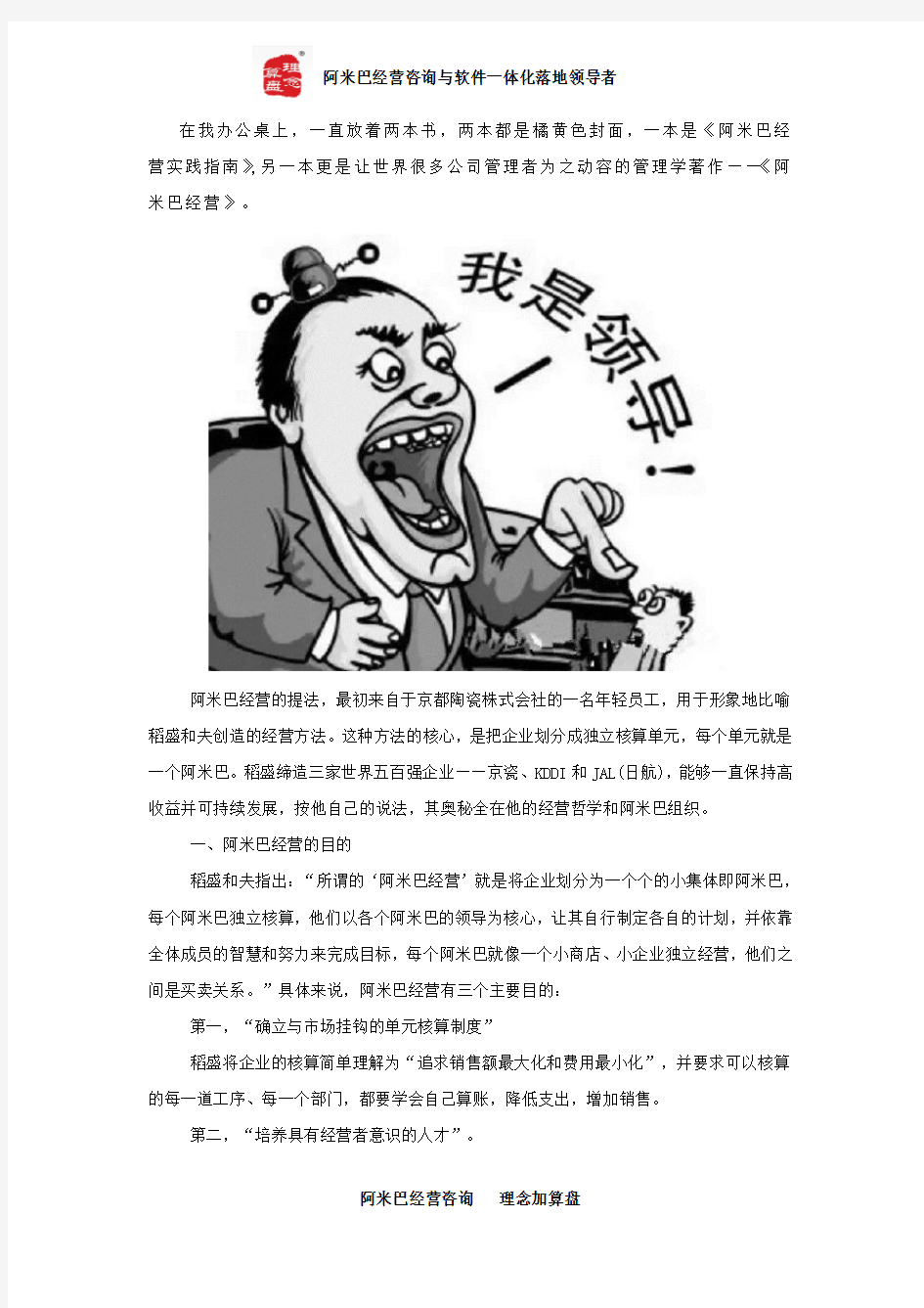 阿米巴经营模式读后感