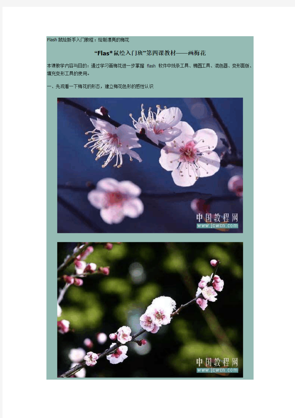 “Flas鼠绘入门班”第四课教材：绘制漂亮的梅花