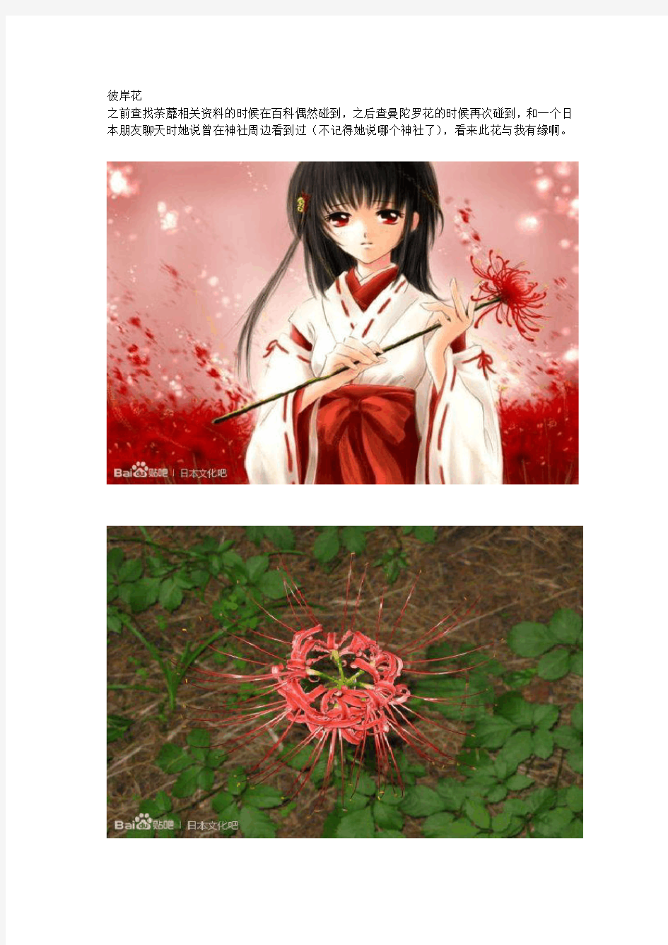那些日本文化里的花木