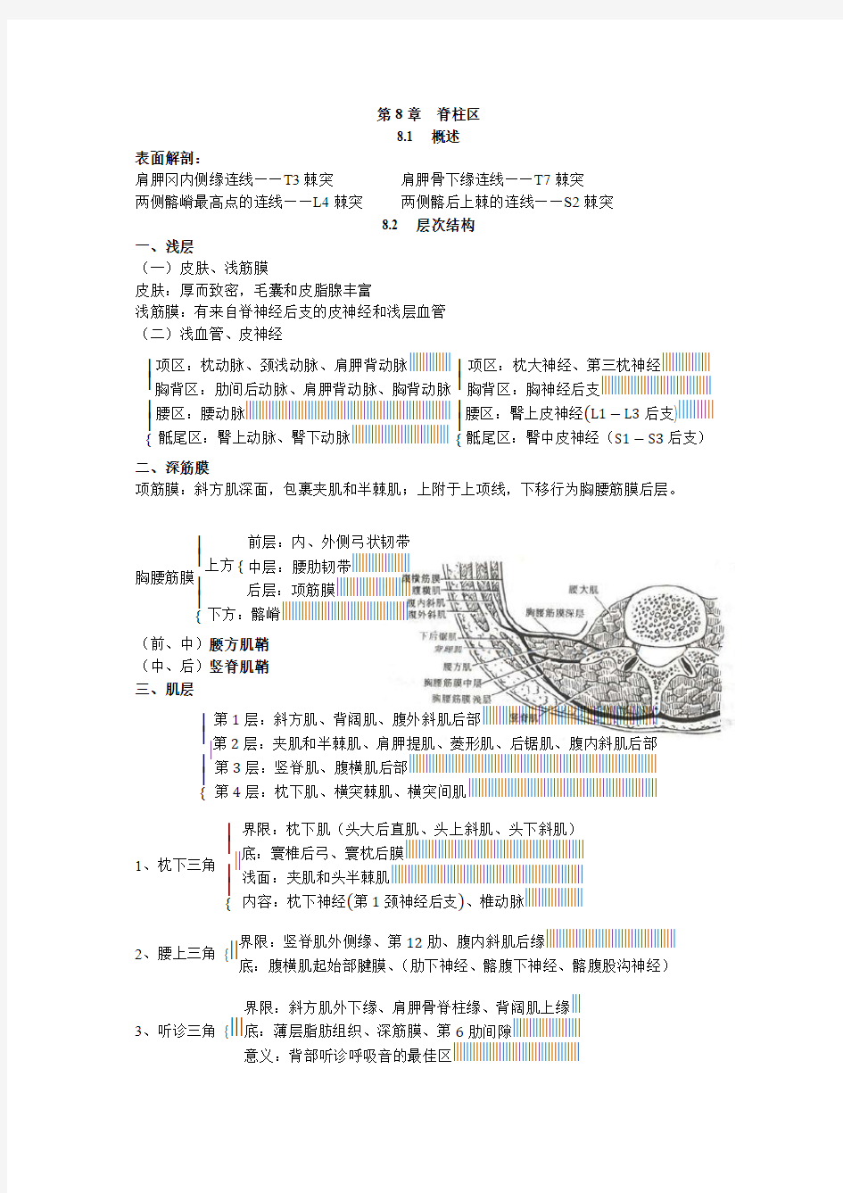 局部解剖学笔记08 脊柱区