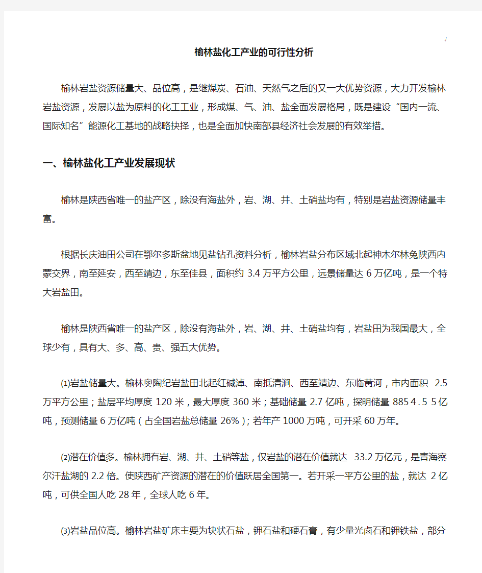 榆林盐化工产业的分析调研资料