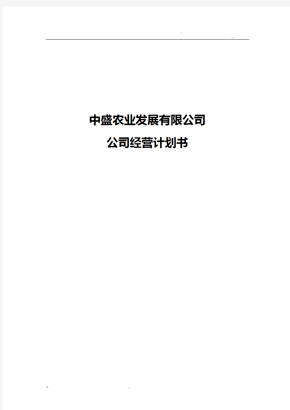 公司运营实施计划书模板