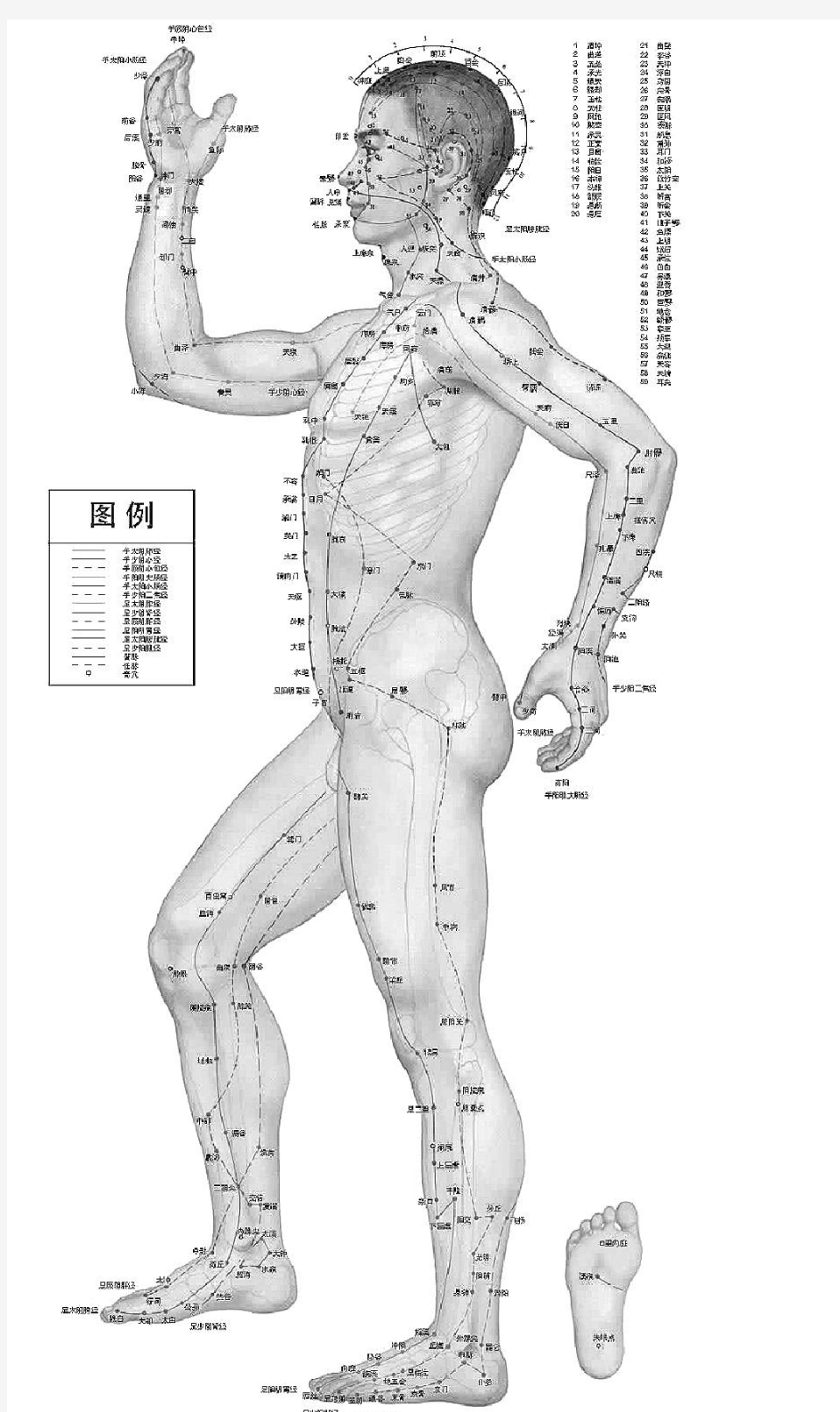 黑白经络穴位图,绝对清晰,完整