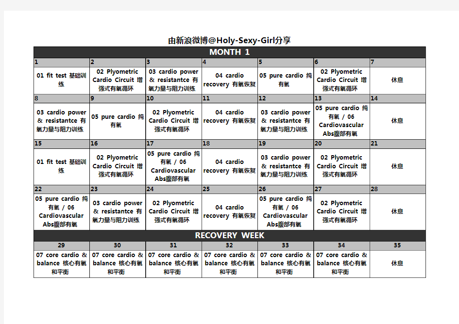 Insanity 63天健身计划 中文课表