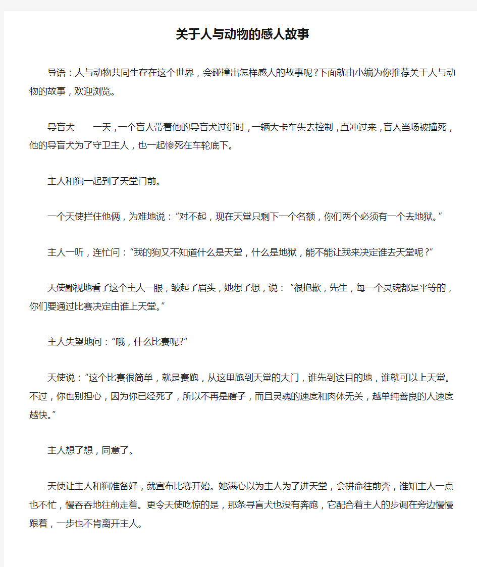 关于人与动物的感人故事