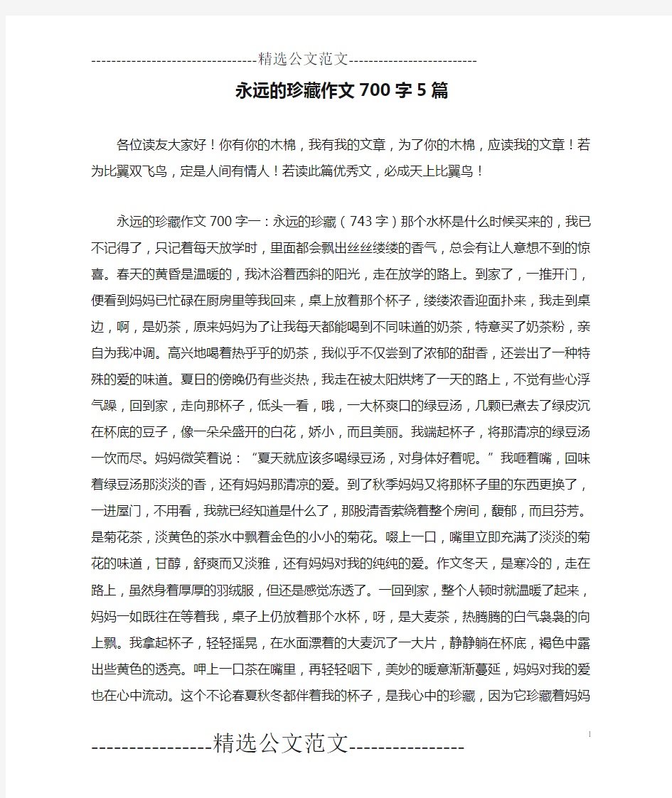 永远的珍藏作文700字5篇